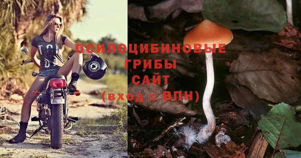 PSILOCYBIN Дмитриев