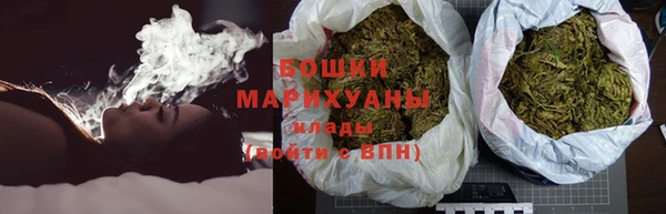 PSILOCYBIN Дмитриев