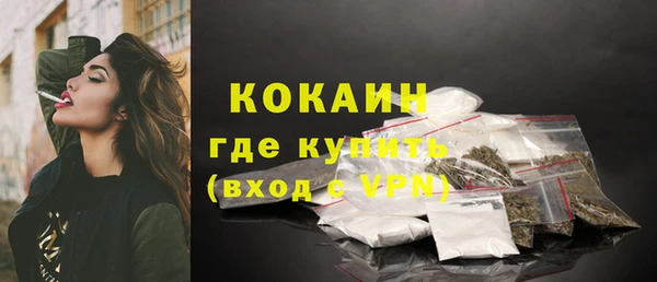 PSILOCYBIN Дмитриев