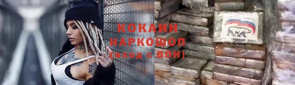 PSILOCYBIN Дмитриев
