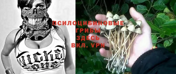 МДМА Дмитров
