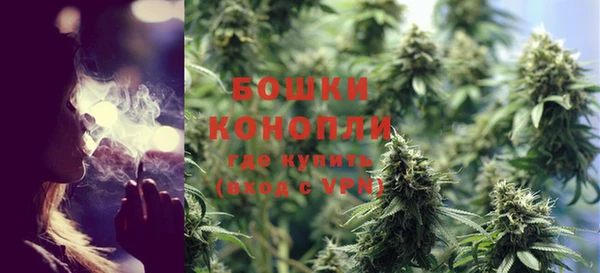PSILOCYBIN Дмитриев