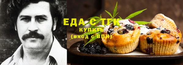 PSILOCYBIN Дмитриев