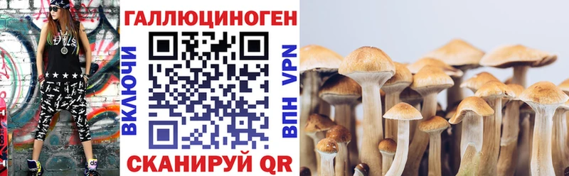 Купить  Новопавловск  Галлюциногенные грибы прущие грибы 